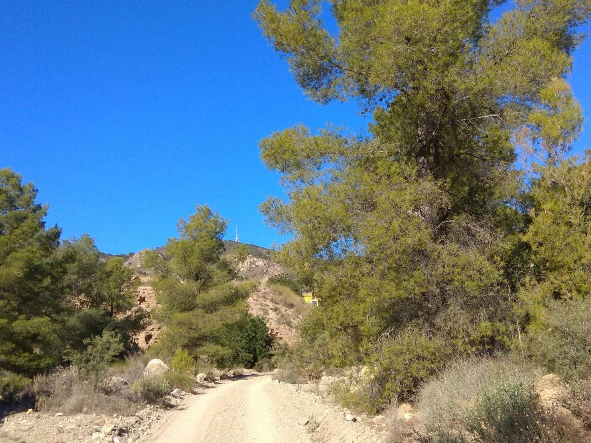 Finca El Carrascal Murcia Dış mekan fotoğraf